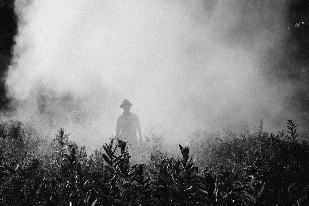 Photo Mysterious creature