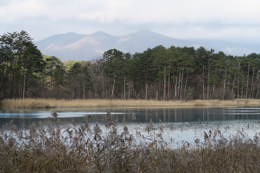 Photo Mysterious lake