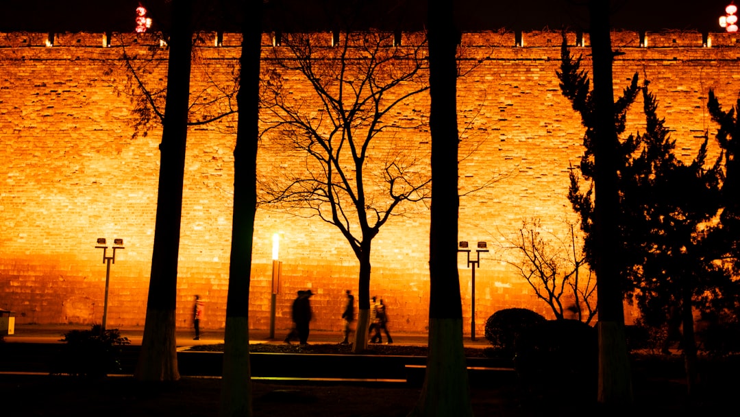 Photo Graveyard silhouette
